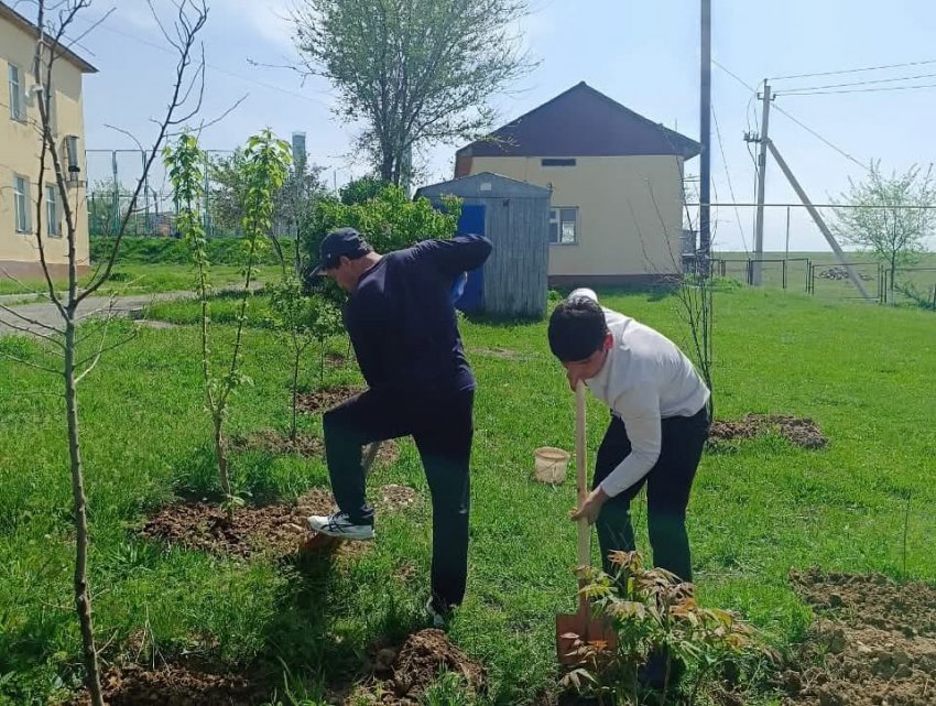 🌲”ТҮЛЕКТЕРДІҢ АҒАШ ЕГУІ” эко челленджі  🌿